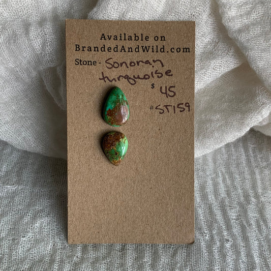 Sonoran Turquoise Cabochon - ST159
