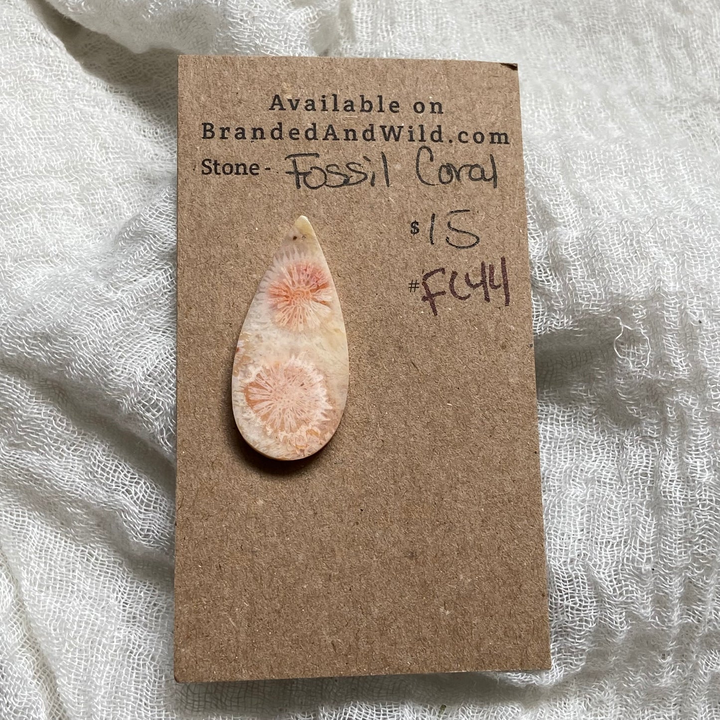 Fossil Coral Cabochon - FC44