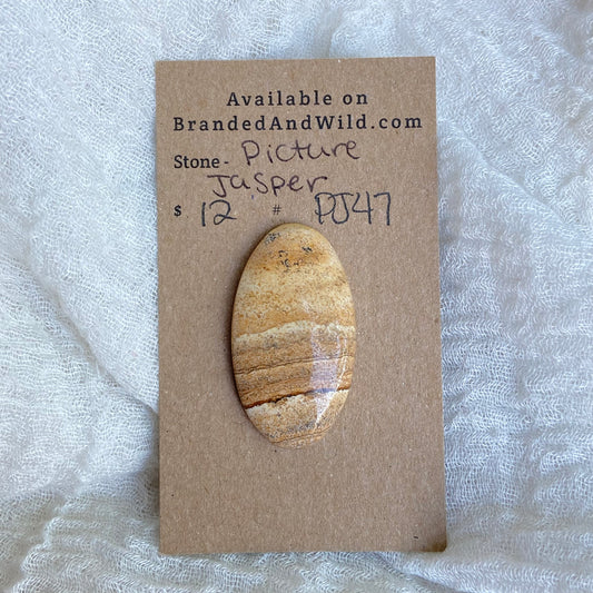 Picture Jasper Cabochon - PJ47