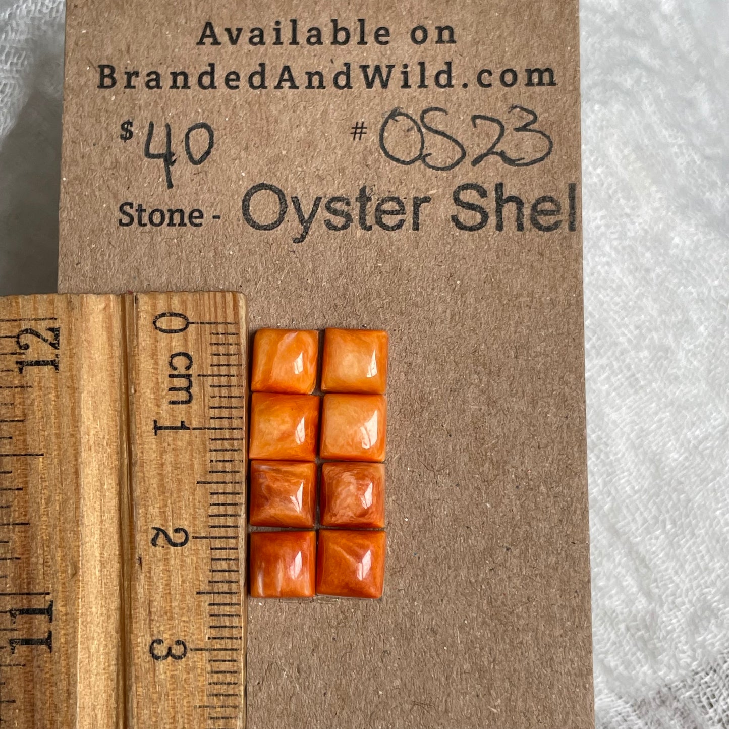 Oyster Shell Cabochon - OS23