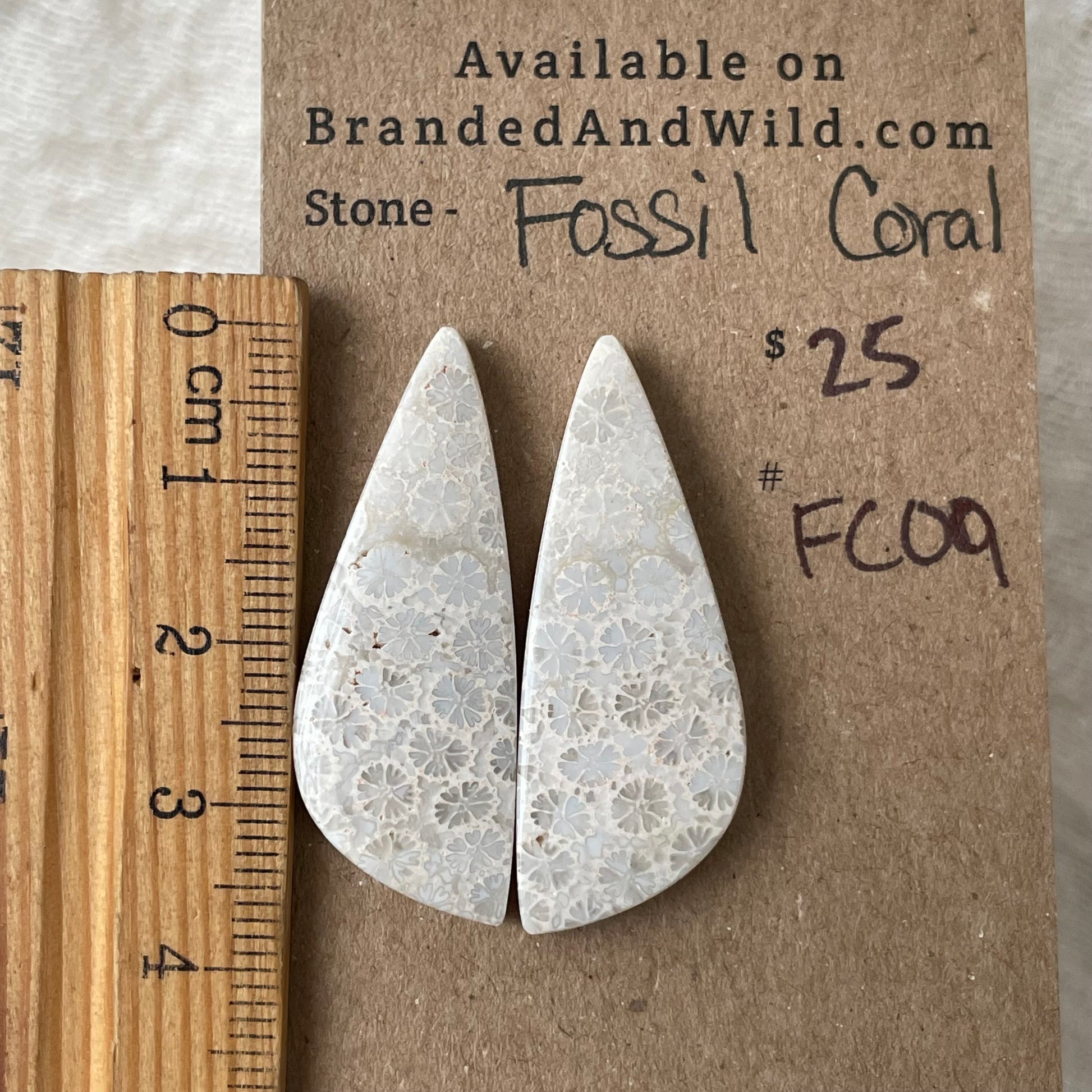 Fossil Coral Cabochon - FC09 3A7D124D-3539-4A12-AA58-E6F2B259CD34 Brandedandwild.com