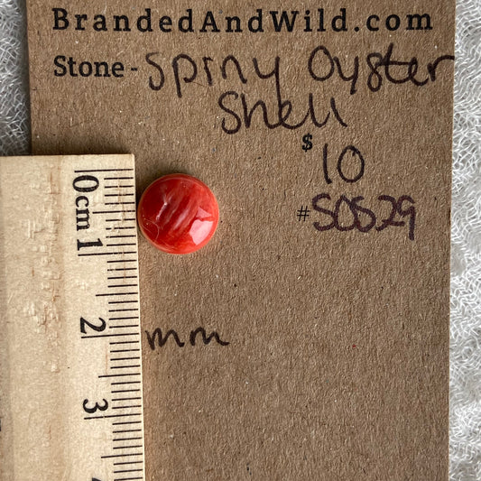 Spiny Oyster Shell Cabochon - SOS29