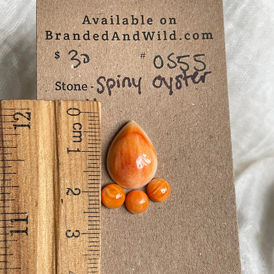 Spiny Oyster Shell Cabochon - OS55 3ABA81E2-4437-4EBD-950C-9B9D487356BE Brandedandwild.com