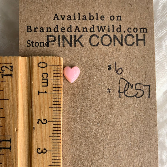 Pink Conch Cabochon - PC57