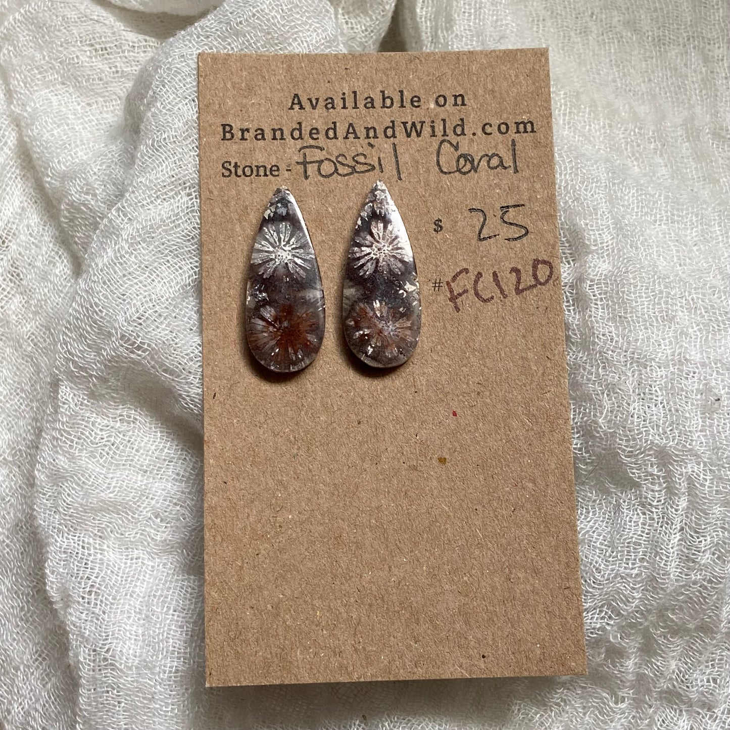 Fossil Coral Cabochon - FC120