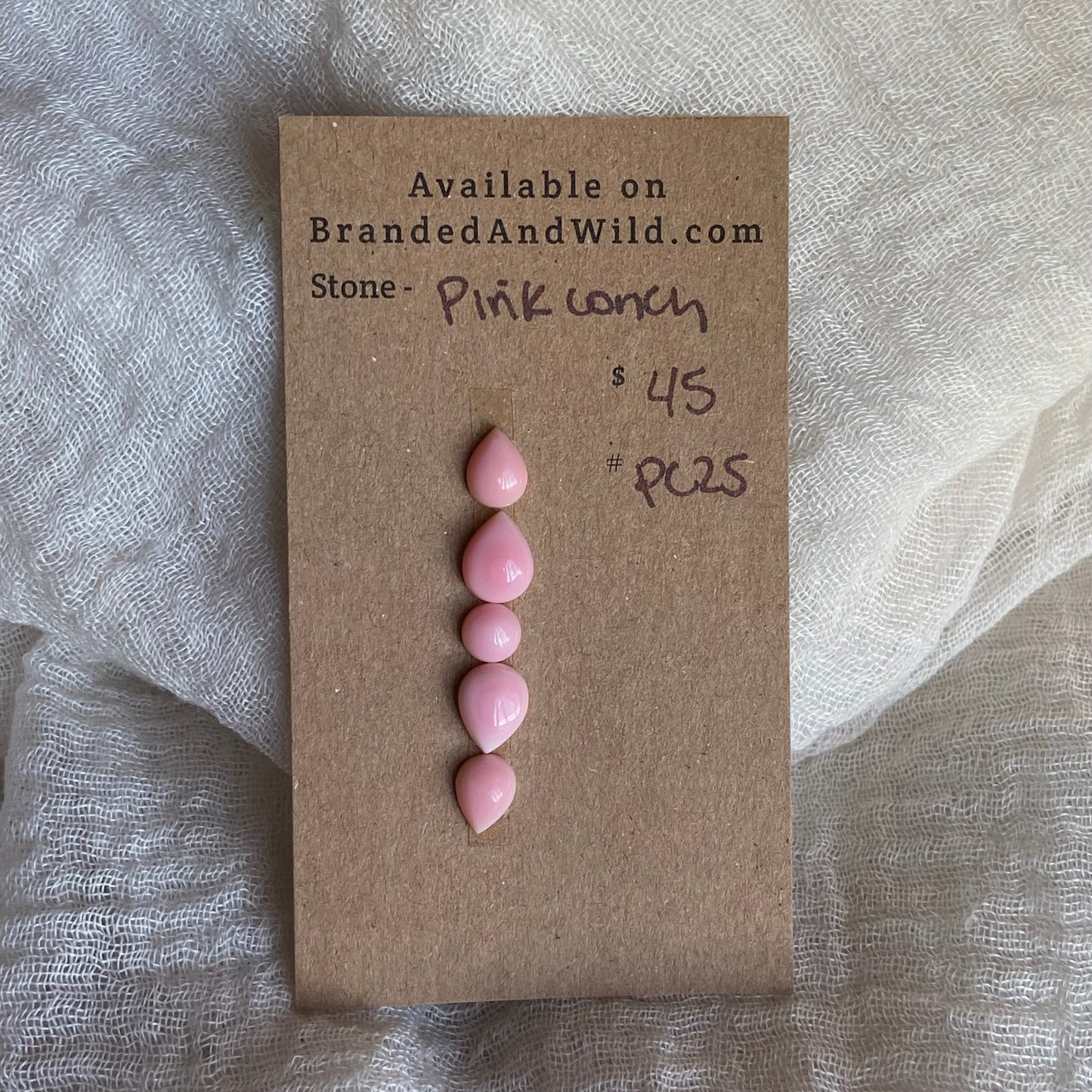 Pink Conch Cabochon - PC25