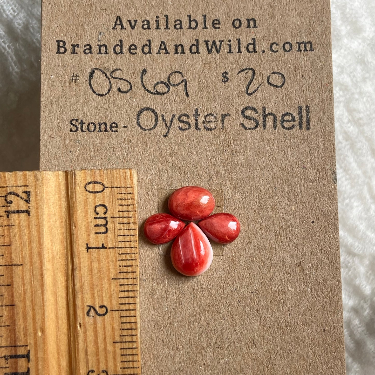 Oyster Shell Cabochon - OS69