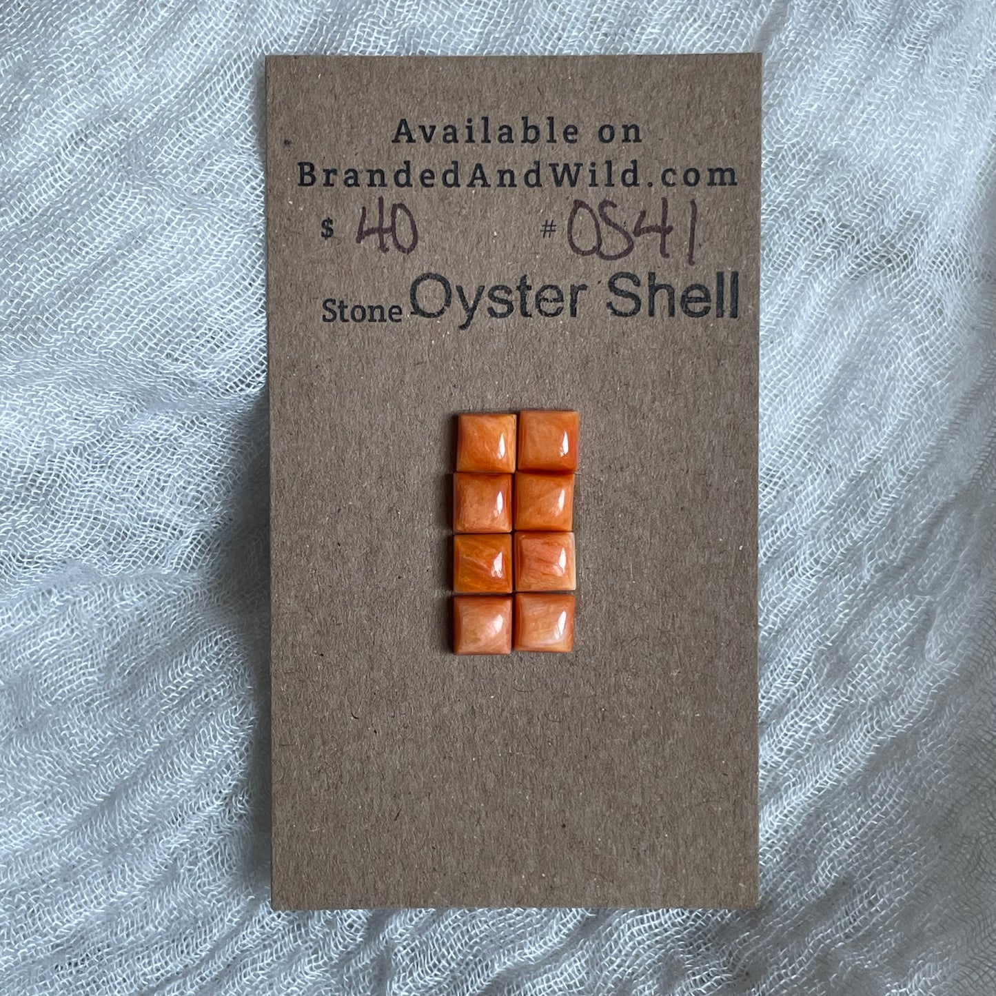 Oyster Shell Cabochon - OS41