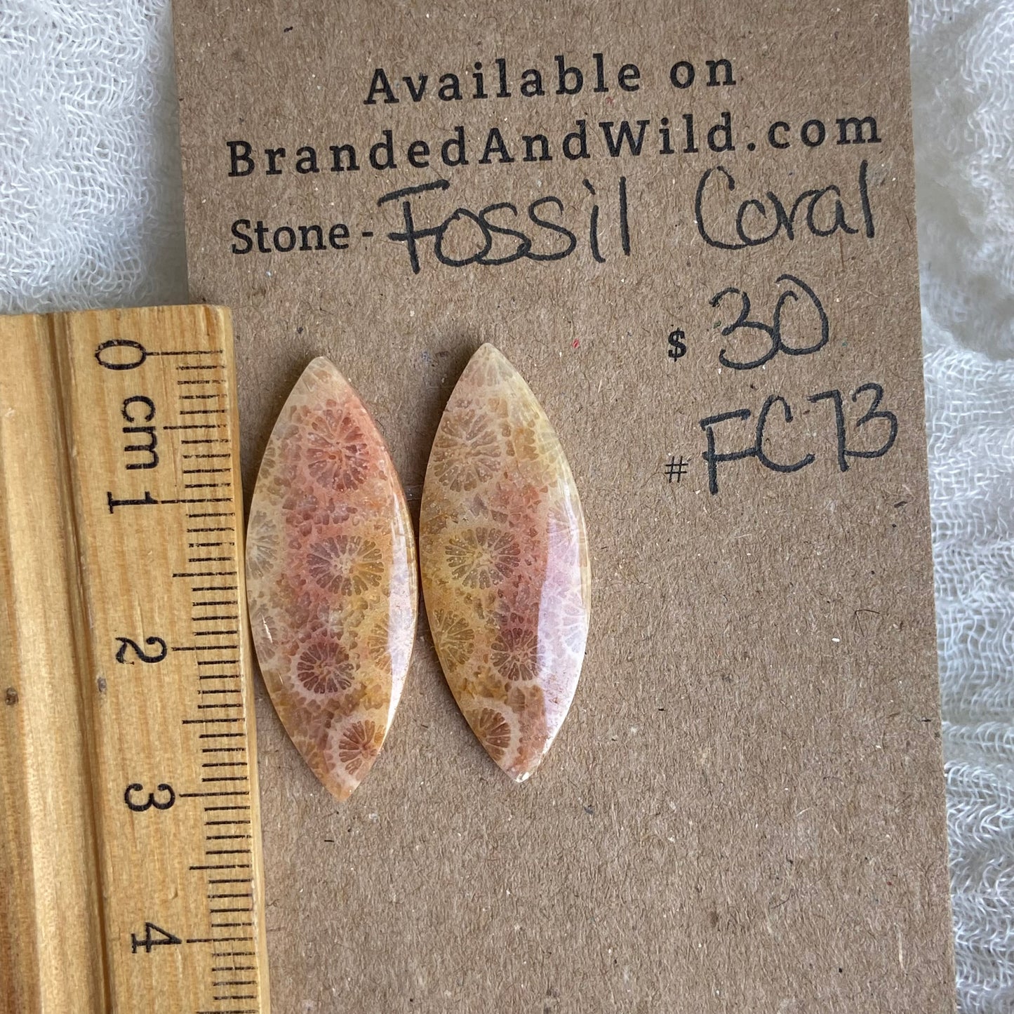 Fossil Coral Cabochon - FC73