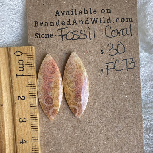 Fossil Coral Cabochon - FC73