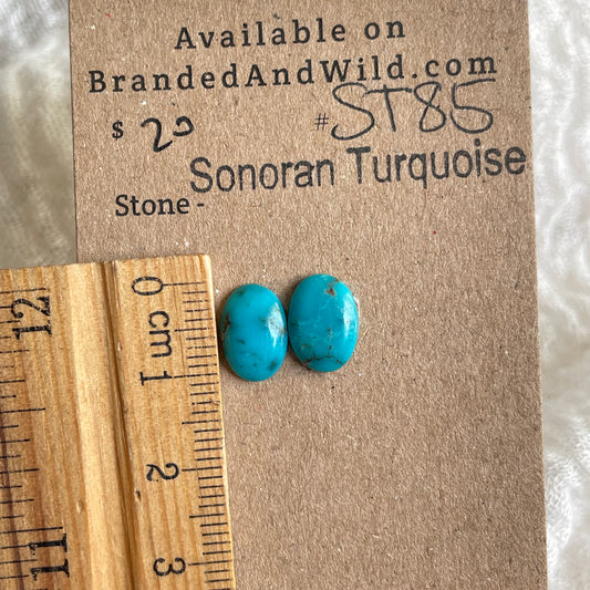 Sonoran Turquoise Cabochon - ST85 3B839A36-5FEE-4D77-B9A8-8422E6BEEF21 Brandedandwild.com