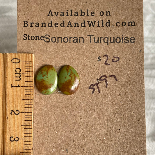 Sonoran Turquoise Cabochon - ST97 3BA441A7-49EF-4CEC-9C23-57E5007217FE Brandedandwild.com