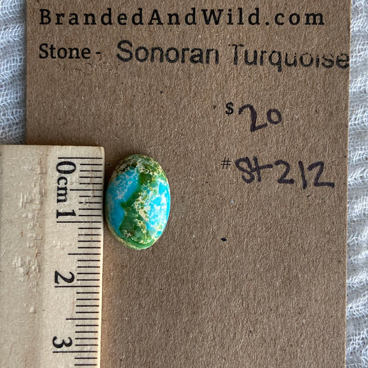 Sonoran Turquoise Cabochon - ST212