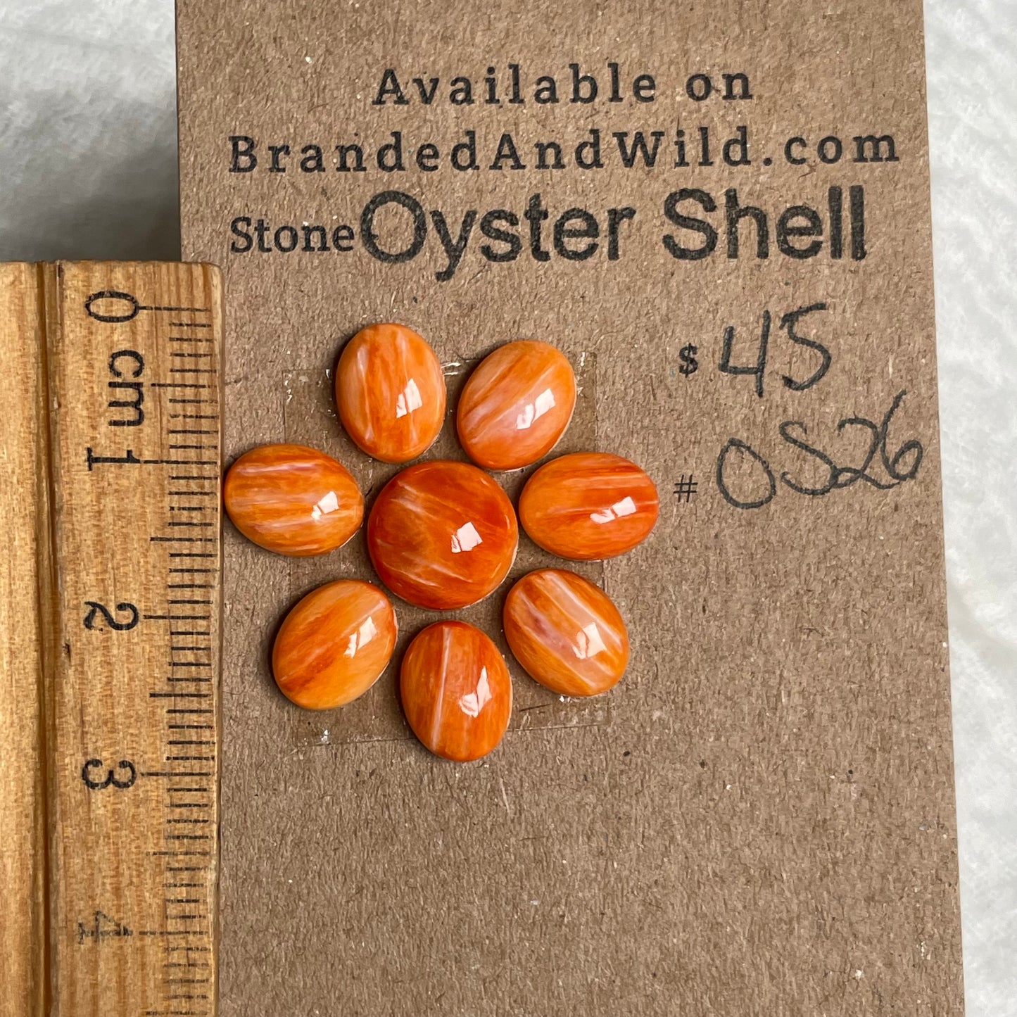 Oyster Shell Cabochon - OS26