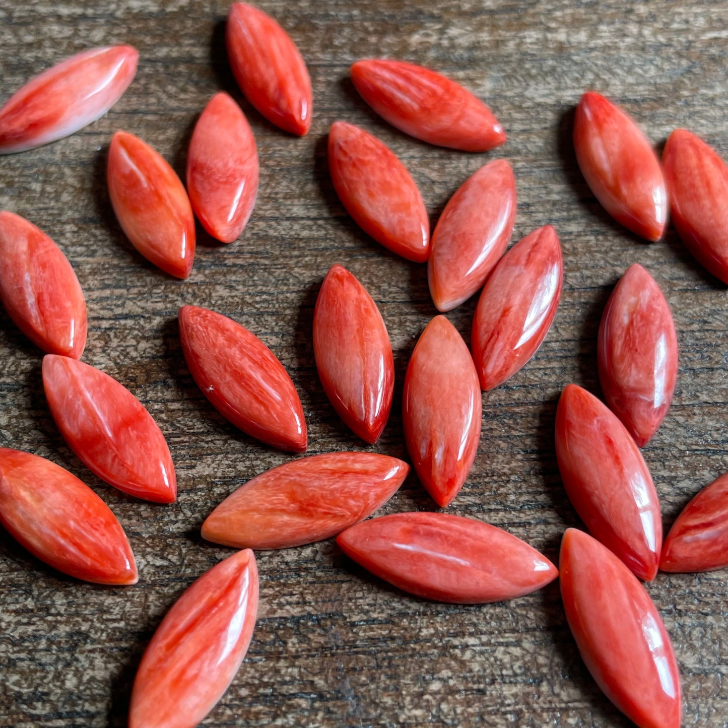 Red Oyster Shell 6x16 mm
