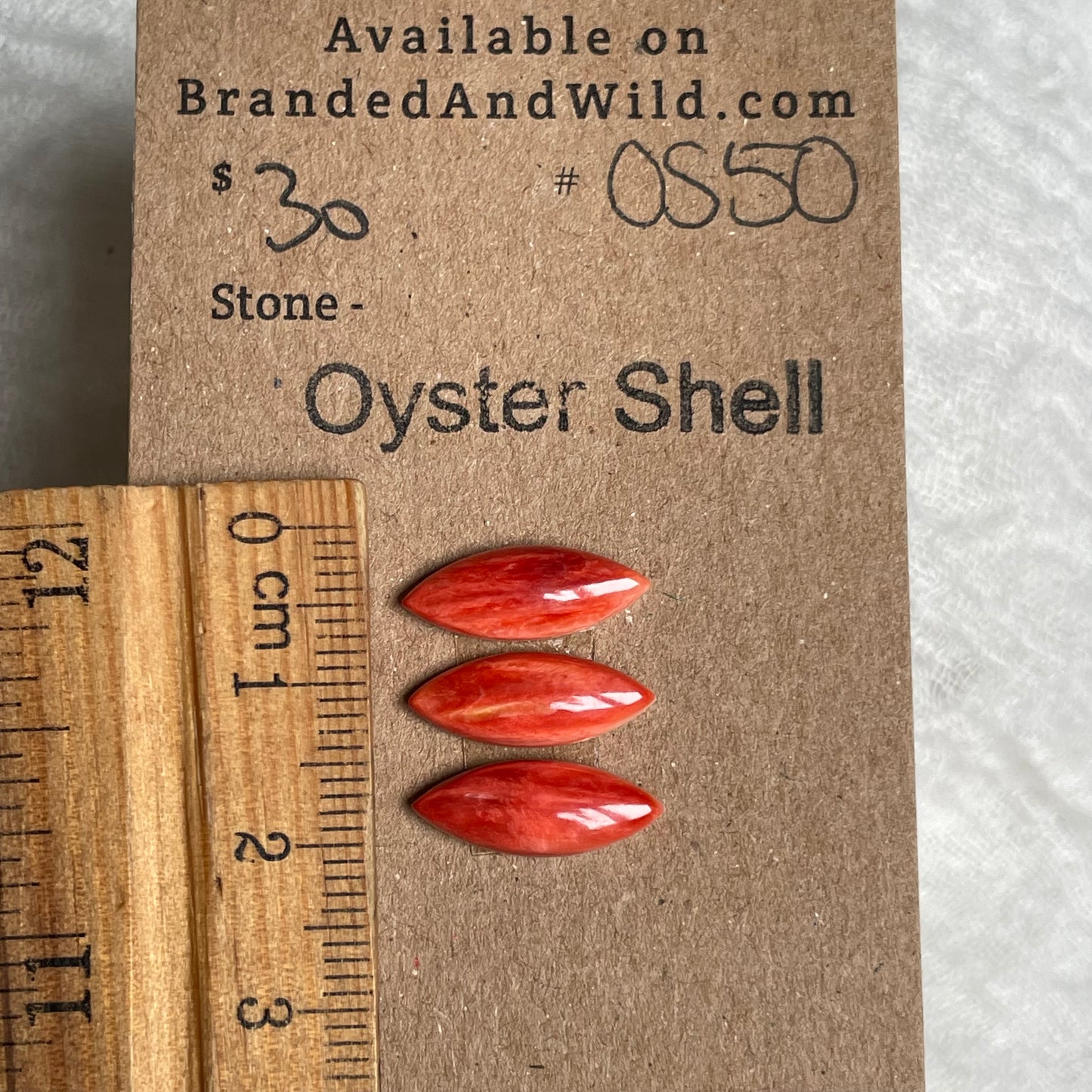 Oyster Shell Cabochon - OS50