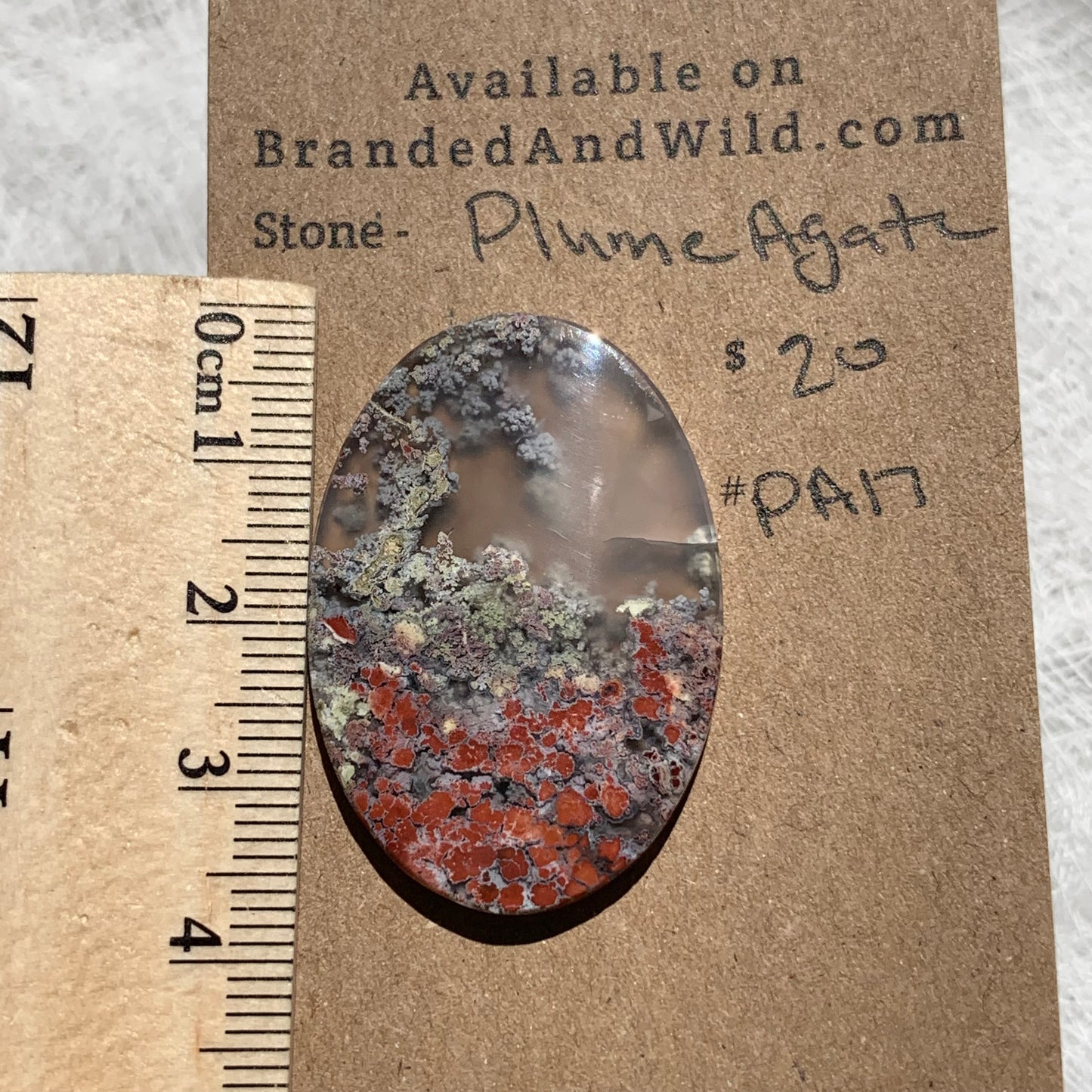 Plume Agate Cabochon - PA17