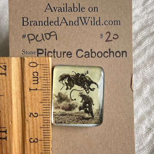 Picture Cabochon - Cabochon - PC59 3C218D5D-8EB7-4424-BC6D-C138A291CBA7 Brandedandwild.com