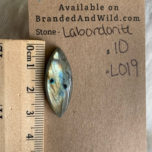 Labradorite Cabochon - L019