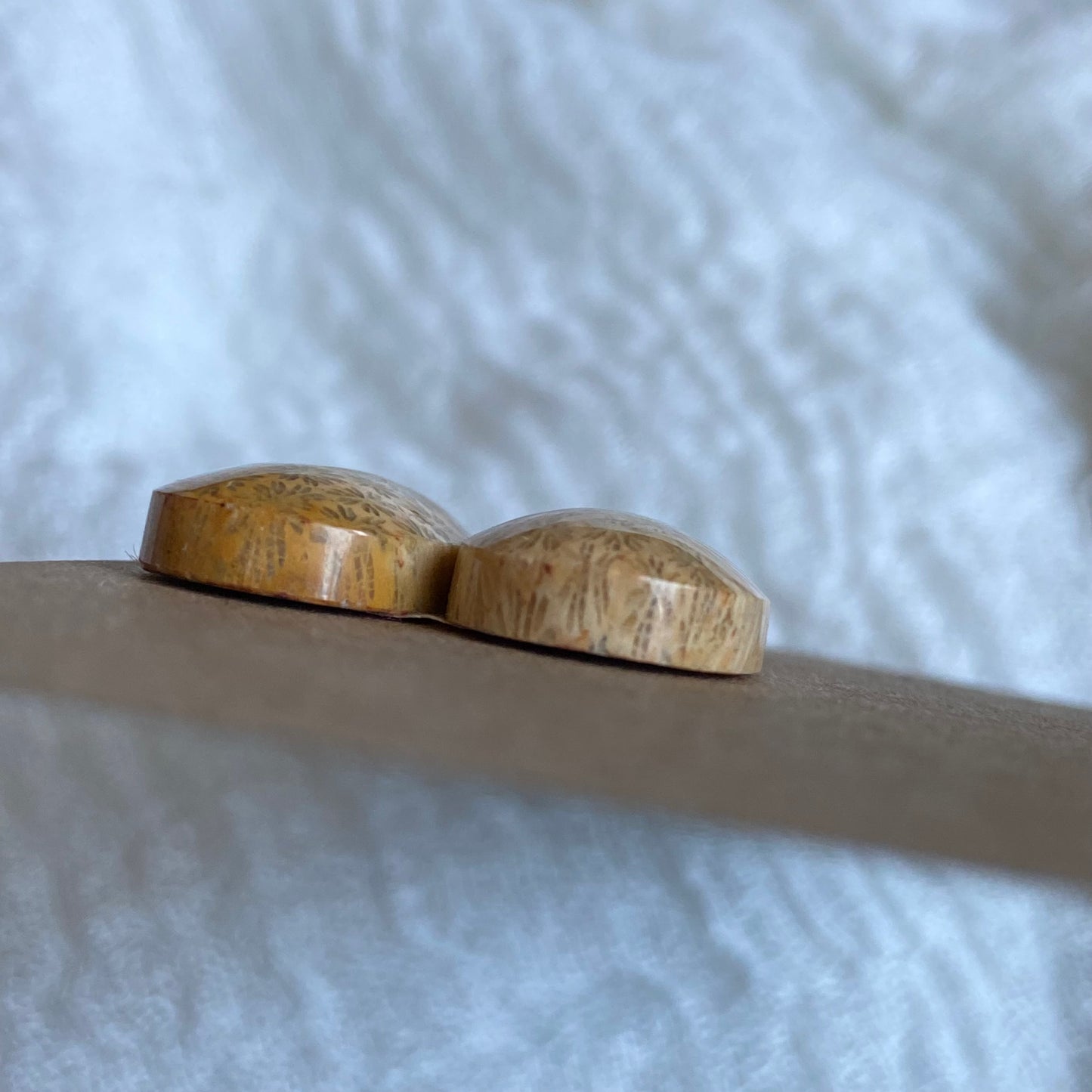 Fossil Coral Cabochon - FC56