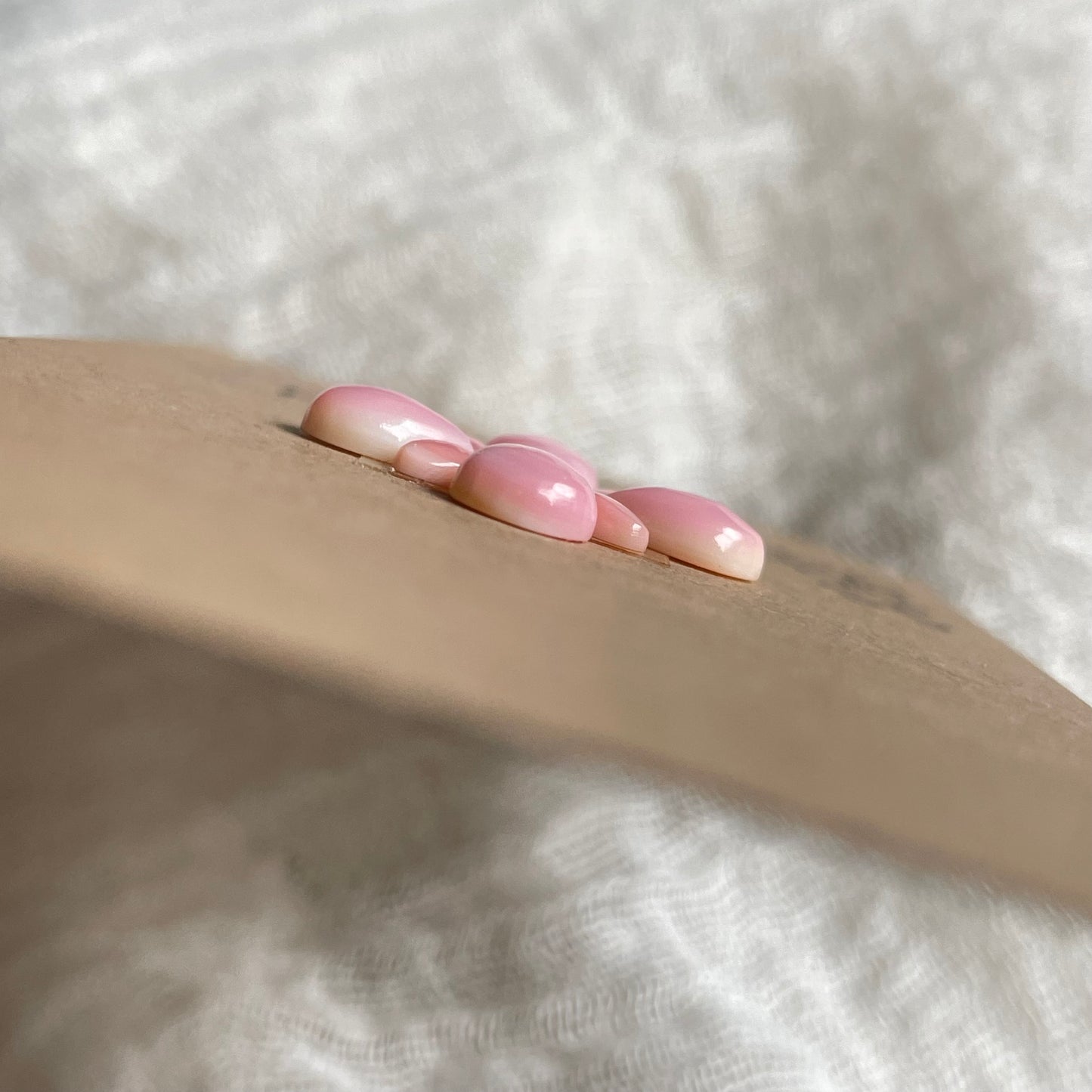 Pink Conch Cabochon - PC05 3C6A701F-E6AF-4E29-BD1D-264ED4DE79E1 Brandedandwild.com