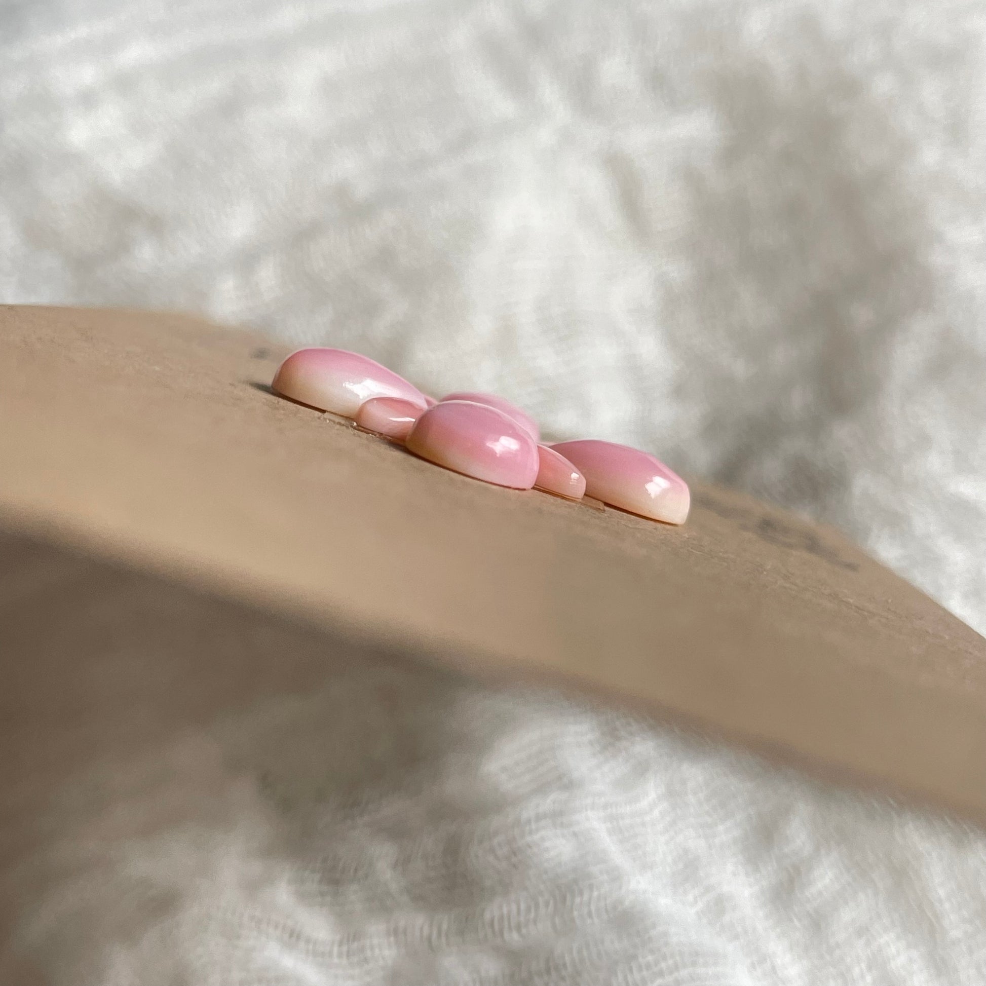 Pink Conch Cabochon - PC05 3C6A701F-E6AF-4E29-BD1D-264ED4DE79E1 Brandedandwild.com