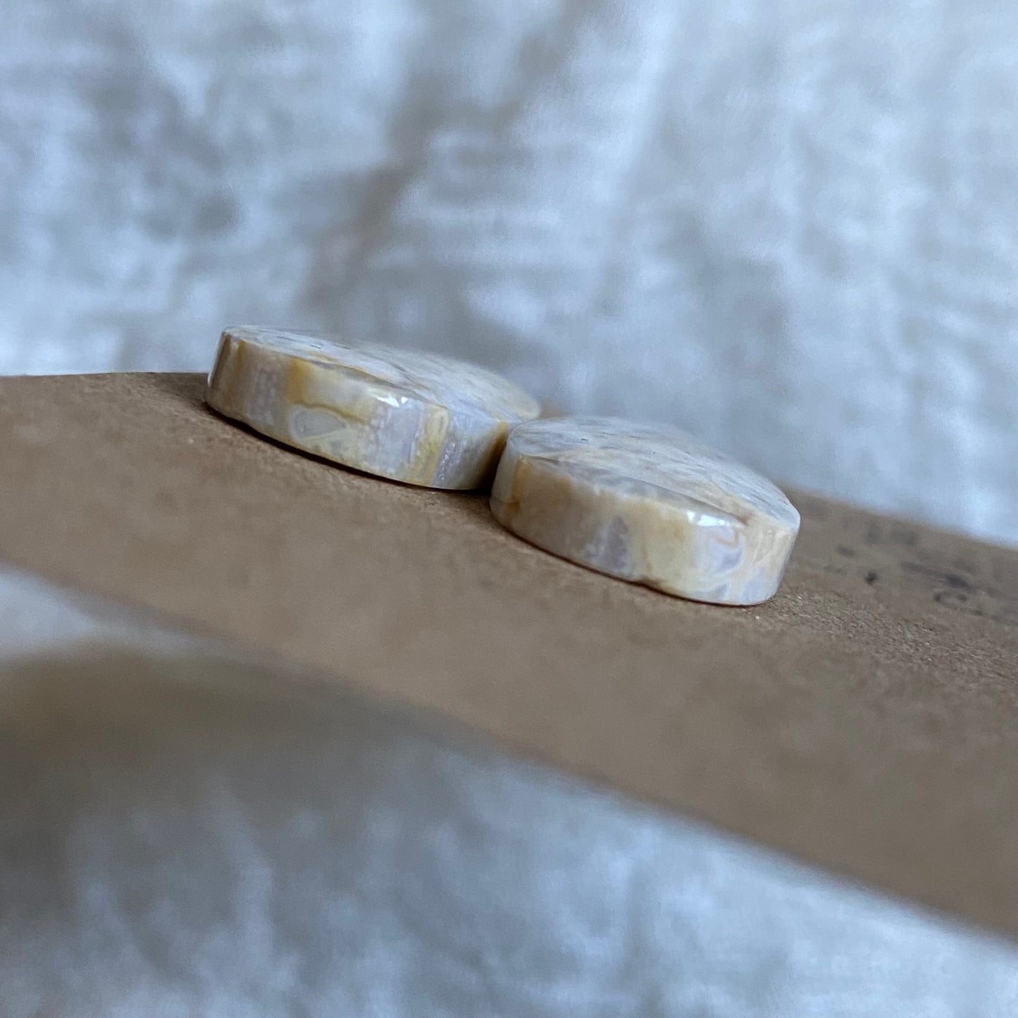 Fossil Coral Cabochon - FC39