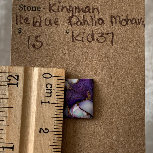 Kingman Ice Blue Dahlia Mohave - KID37