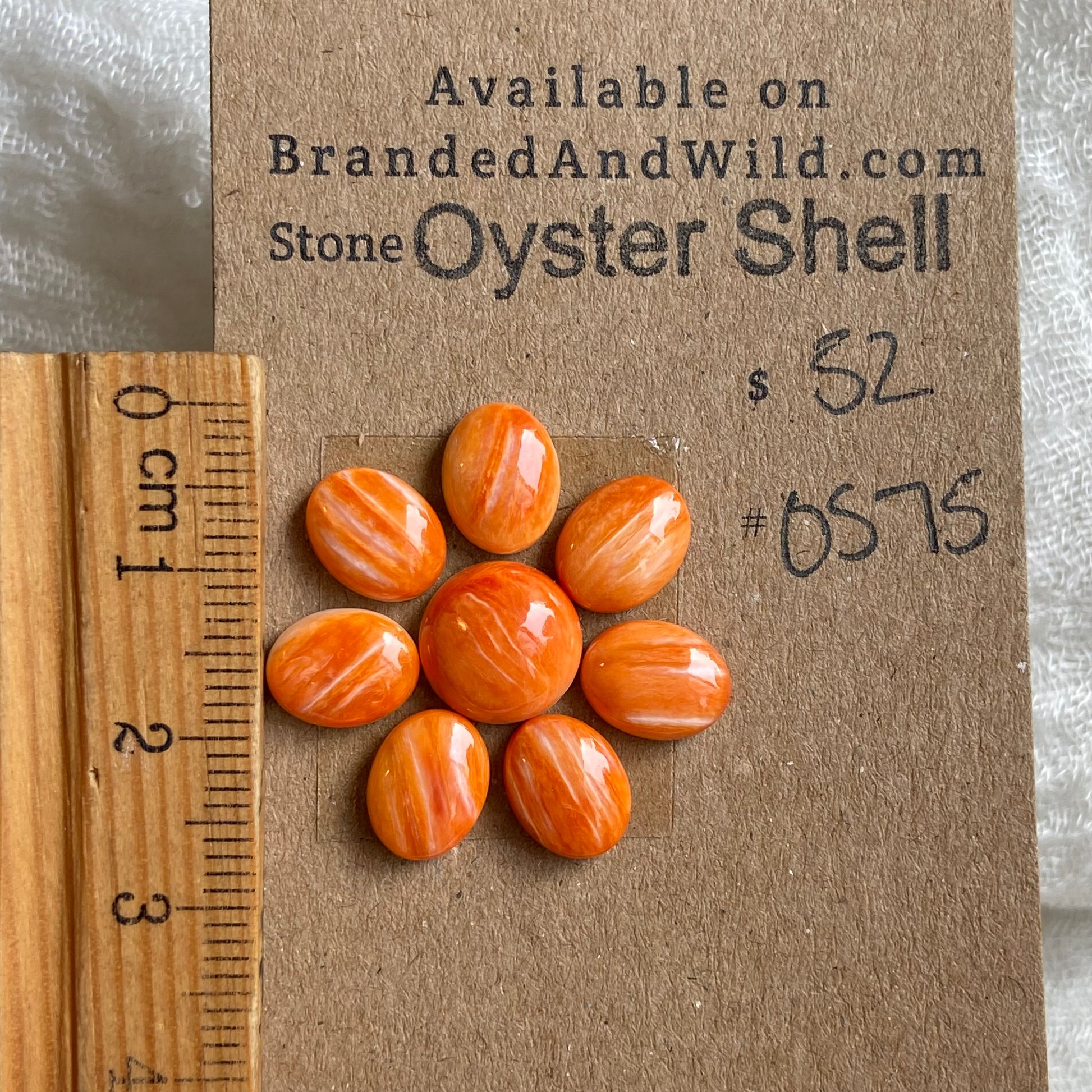 Oystershell Cabochon - OS75 3CA64A79-AF3C-4E66-854D-3B36CEA3DB9C Brandedandwild.com