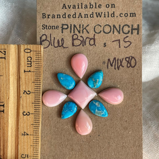 Pink Conch / Blue Bird Cabochon - MIX80