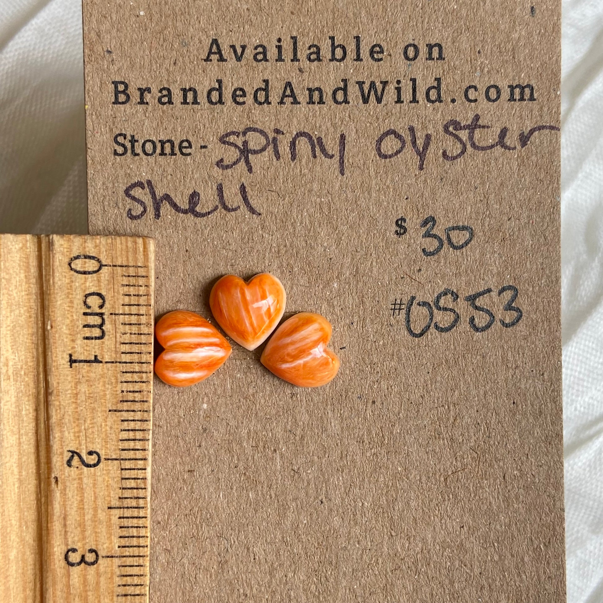 Oystershell Cabochon - OS53 3CE18905-B702-4A4A-933B-B4BA3428703E Brandedandwild.com