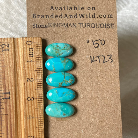 Kingman Turquoise Cabochon - KT23 3CE8394A-5DAE-48CA-98D9-4C86ADF2F2F7 Brandedandwild.com