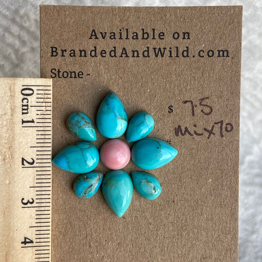 Pink Conch - Kingman Turquoise Cabochon - MIX70