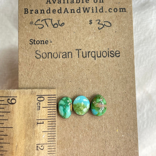 Sonoran Turquoise Cabochon - ST66 3D244940-6C56-4F4D-B796-F507B5274563 Brandedandwild.com