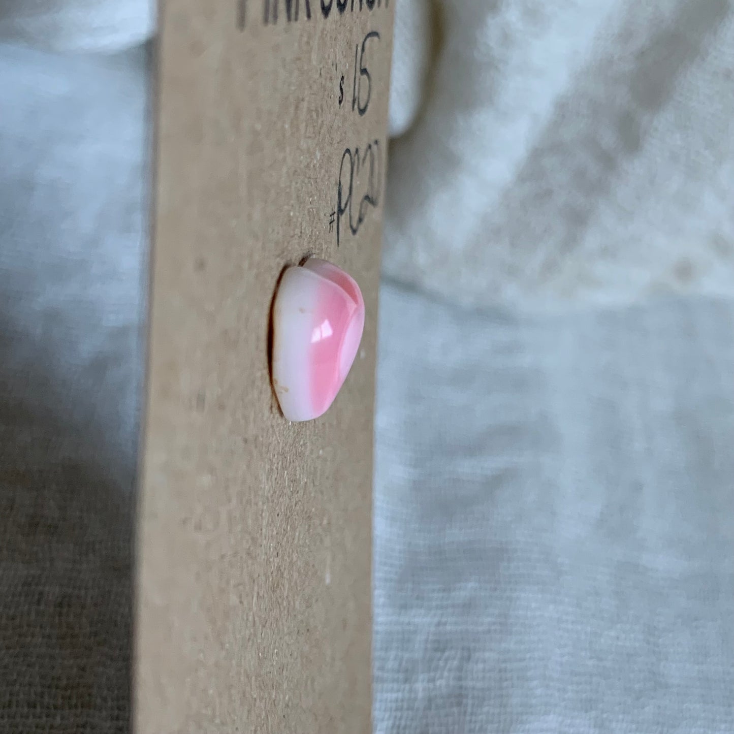 Pink Conch Cabochon - PC49