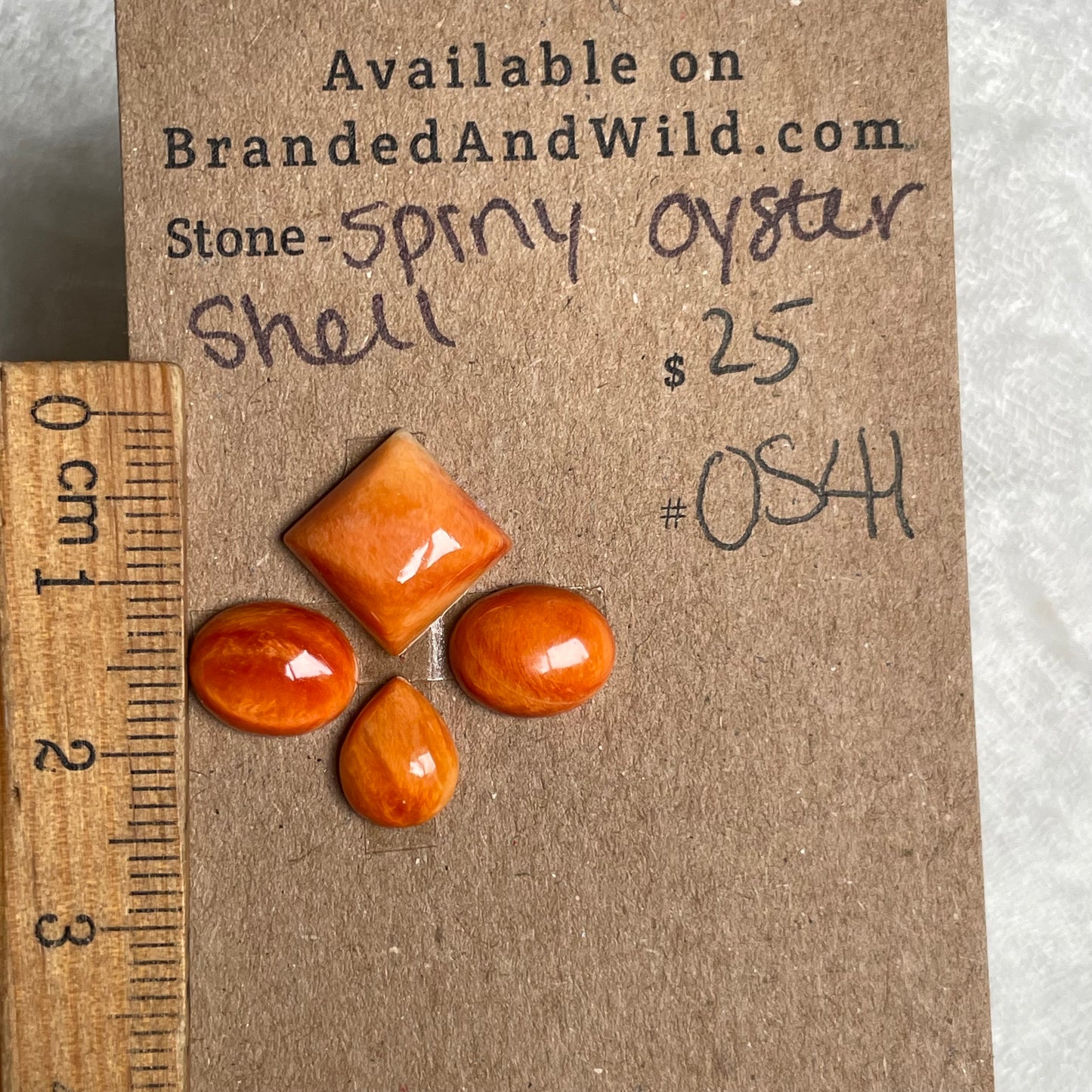 Oyster Shell Cabochon - OS41