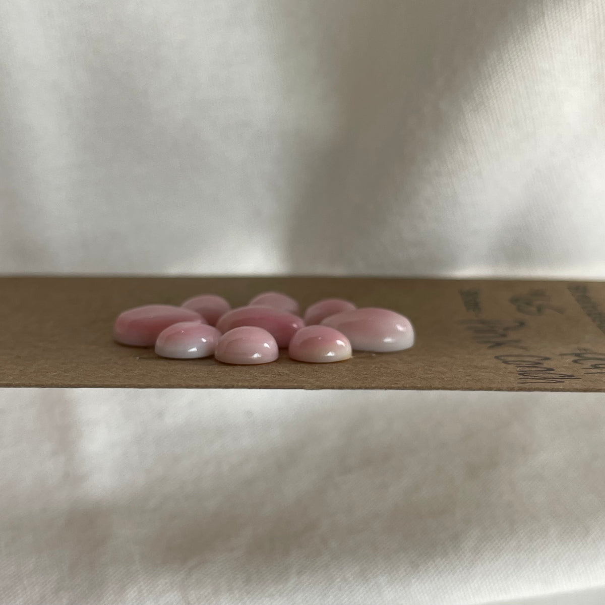 Pink Conch Cabochon - PC47 3D682203-7480-49E2-A659-FBF1FE08681F Brandedandwild.com