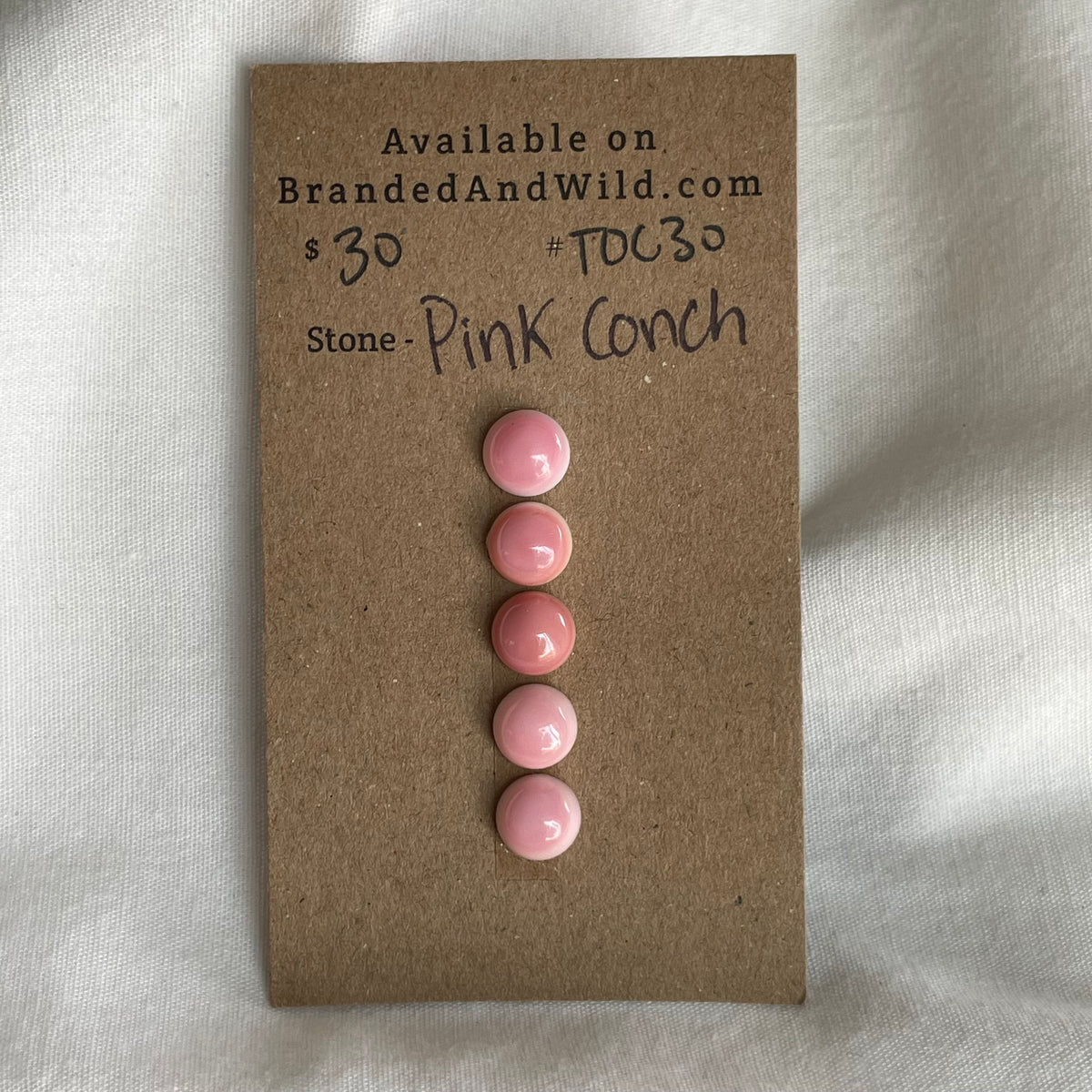 Pink Conch Cabochon - PC30 3D6F38BD-9C2D-4225-9E09-7CB837D178E5 Brandedandwild.com