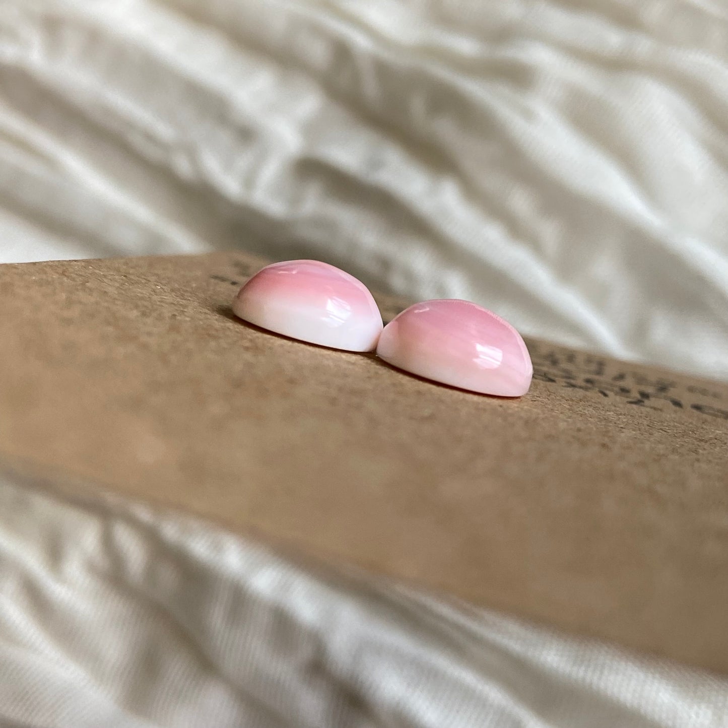 Pink Conch Cabochon - PC49