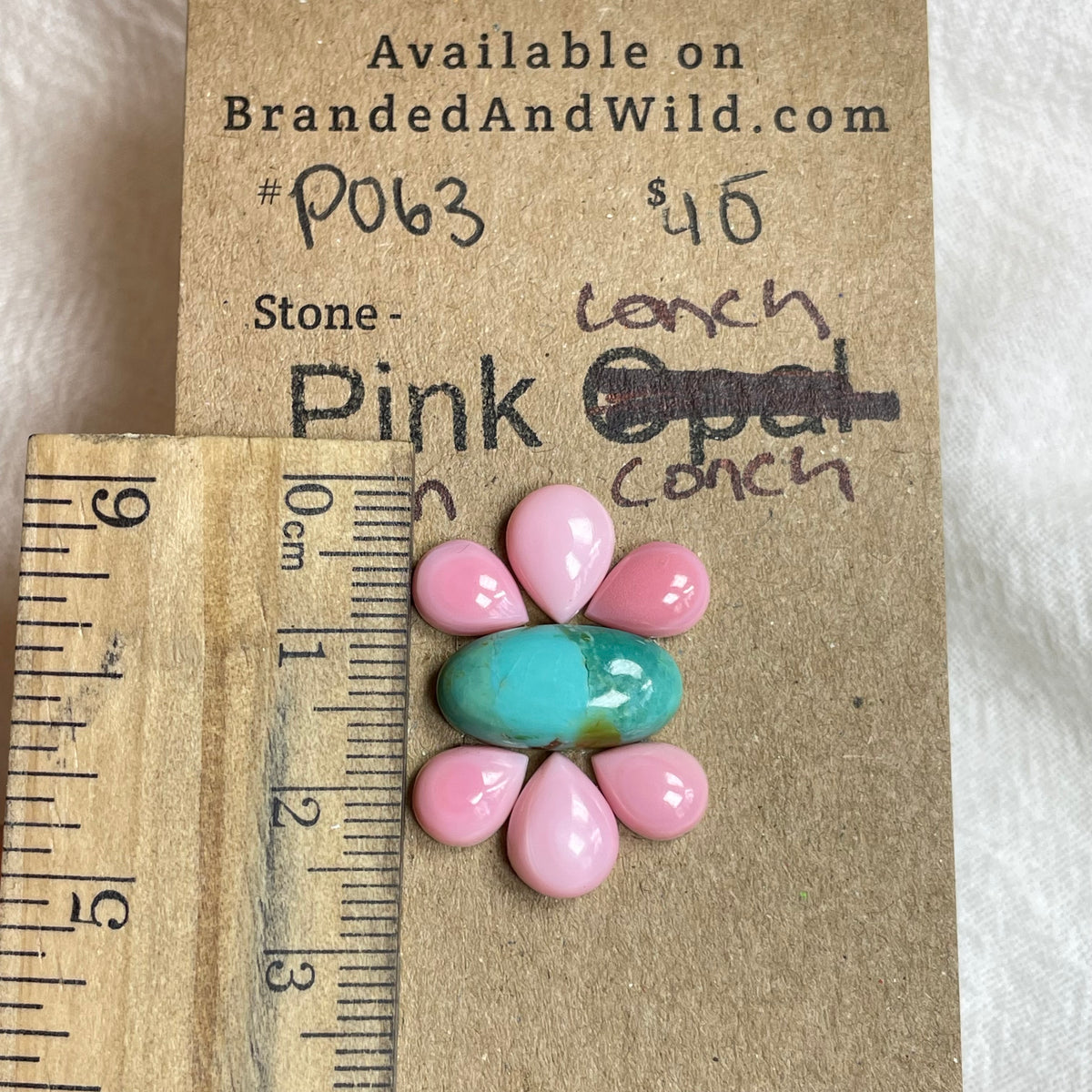 Pink Conch / Kingman Turquoise Cabochon - PK63