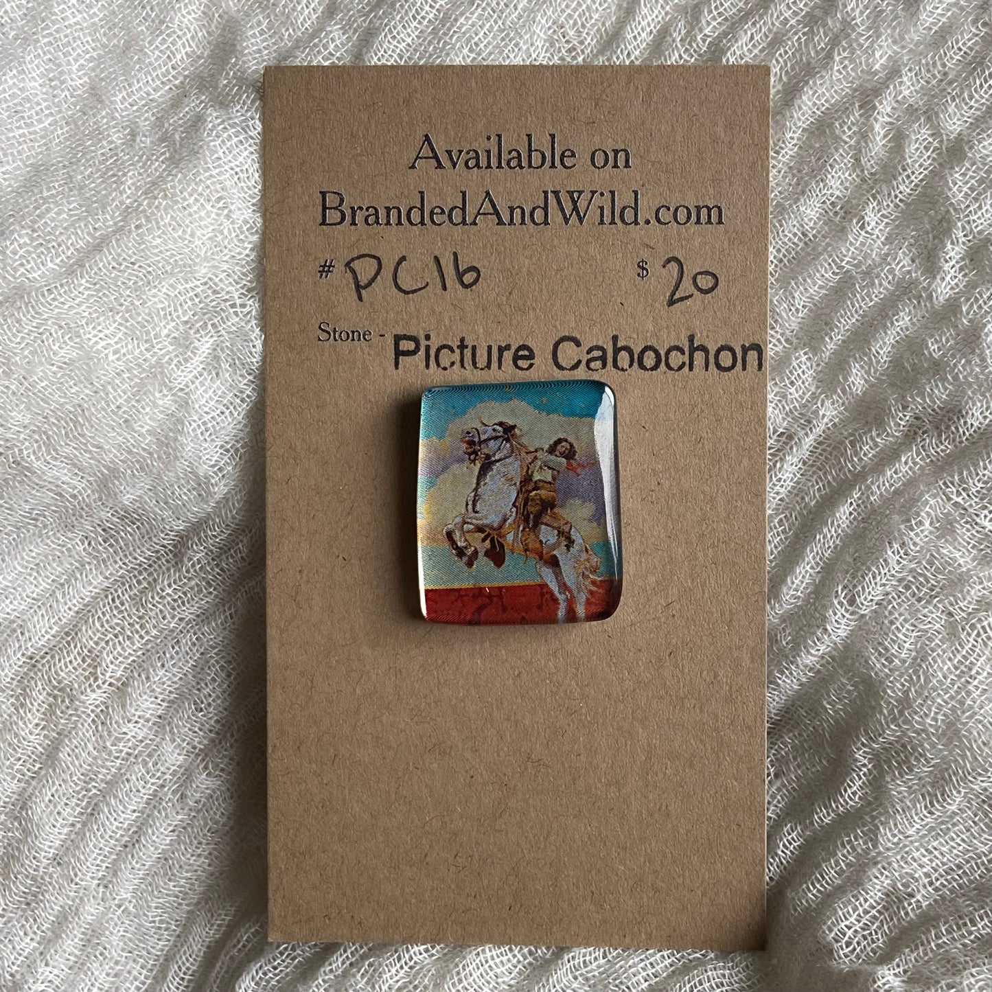 Picture Cabochon - Cabochon - PC16 3D9EED4A-A55F-4923-AF82-9811AB45BEA5 Brandedandwild.com