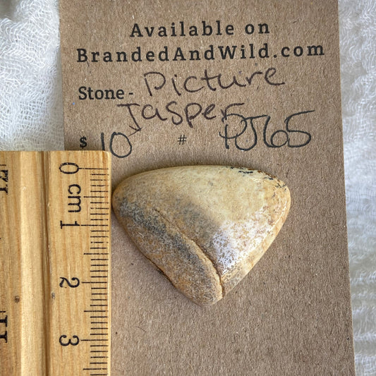 Picture Jasper Cabochon - PJ65