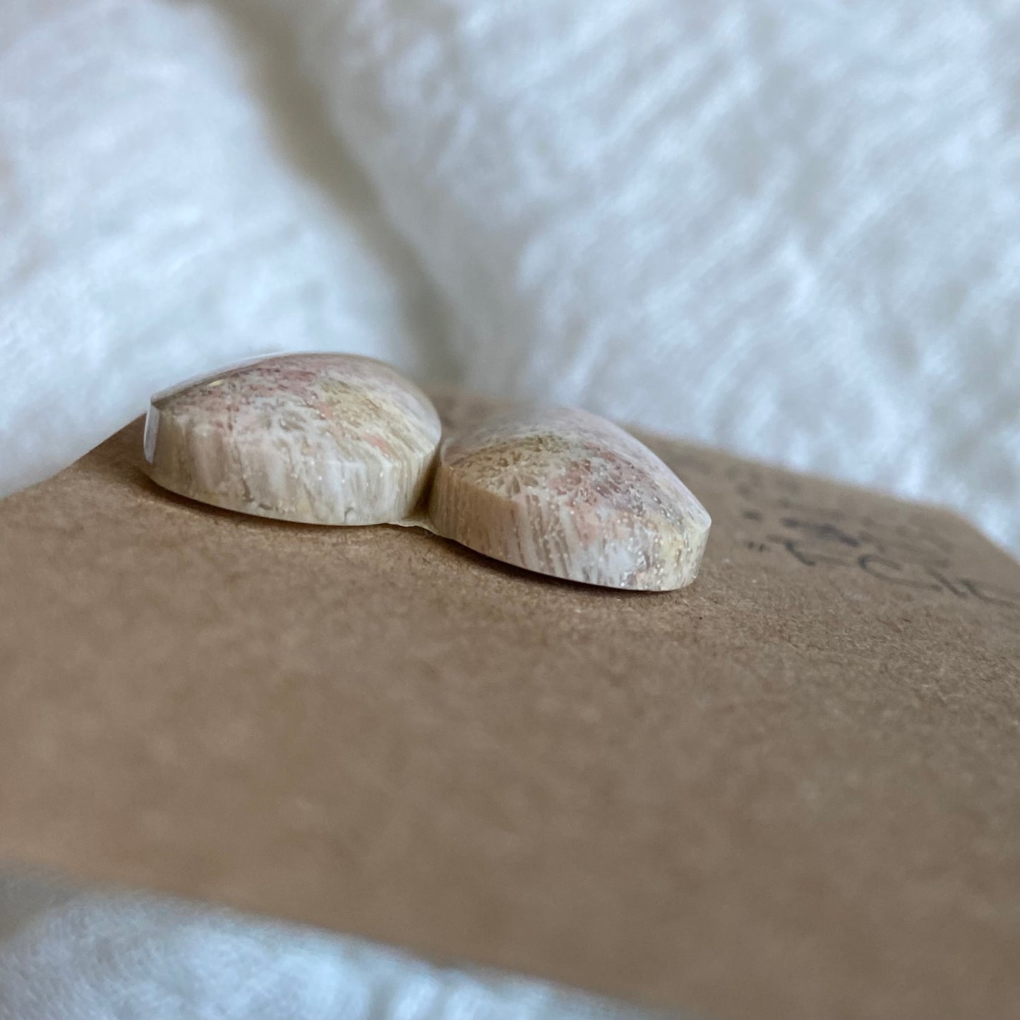 Fossil Coral Cabochon - FC10