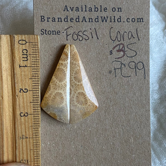 Fossil Coral Cabochon - FC99 3E1A030A-FA89-40C3-8653-B5C2B745CF3E Brandedandwild.com