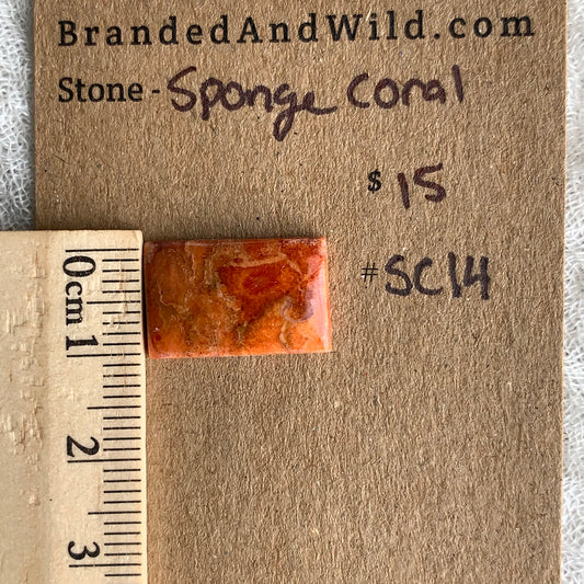 Sponge Coral Cabochon - SC14