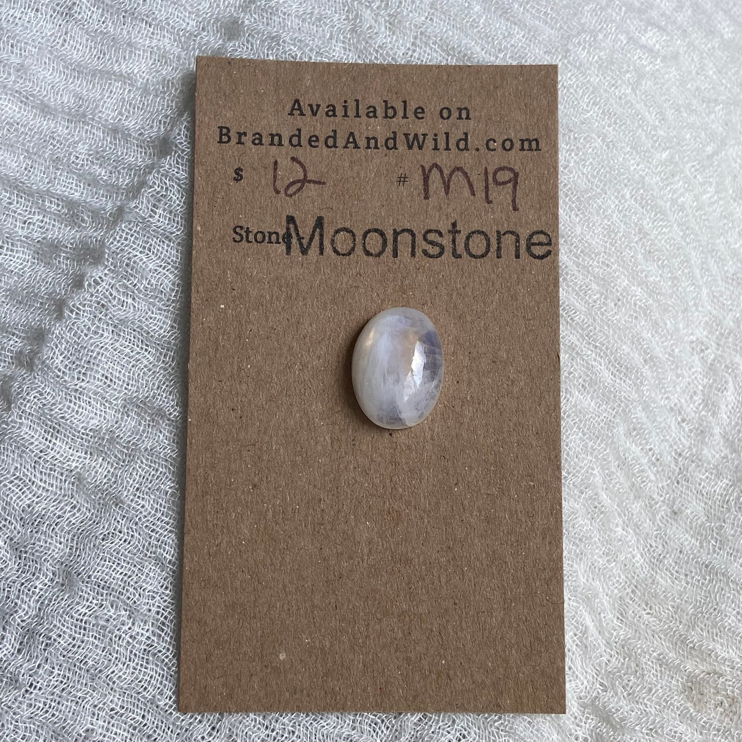 Moonstone Cabochon - M19