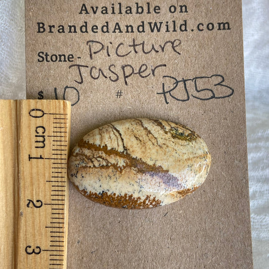 Picture Jasper Cabochon - PJ53