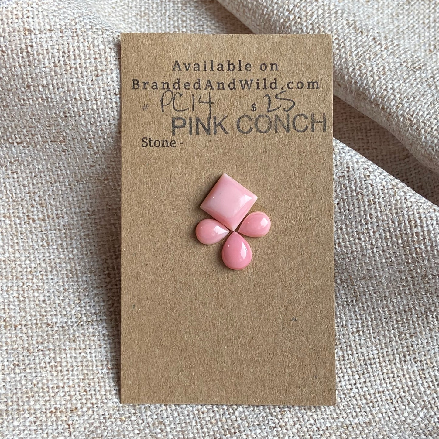 Pink Conch Cabochon - PC14 3E507A88-5584-408C-B867-9E4CDC8332AC Brandedandwild.com