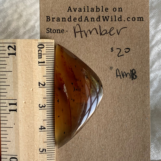 Amber Cabochon AM18