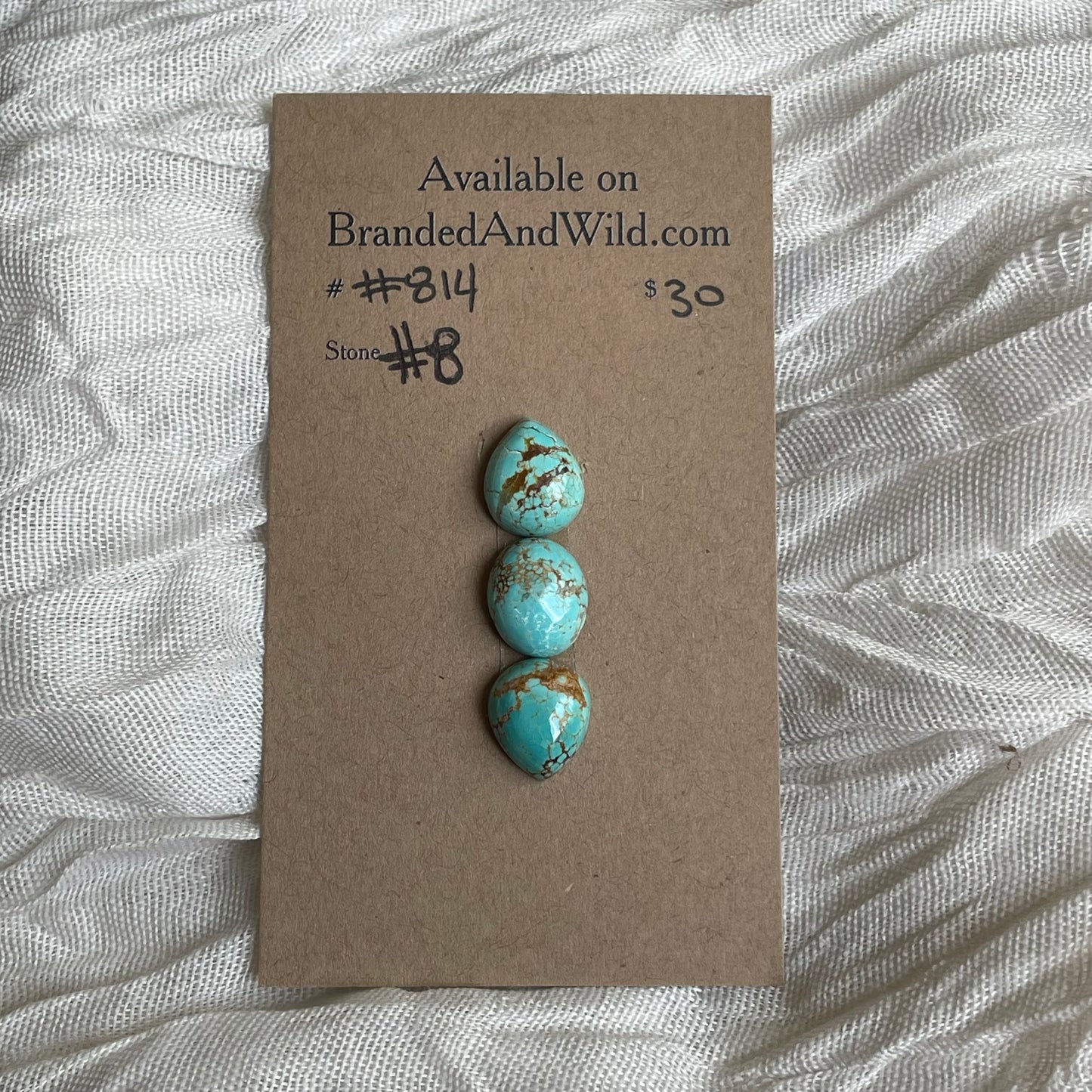 #8 Turquoise Cabochon - #814 3E7EAA05-34EB-434A-BB03-CEAC66A38ECA Brandedandwild.com